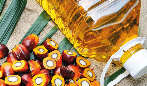 oleofinos-aceite-de-palma
